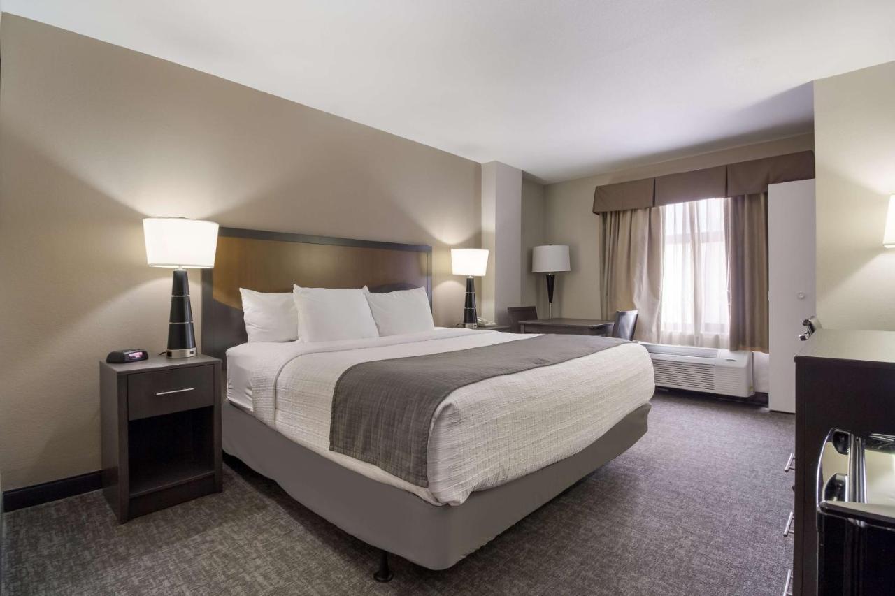 Surestay By Western Medical Center Hotel Houston